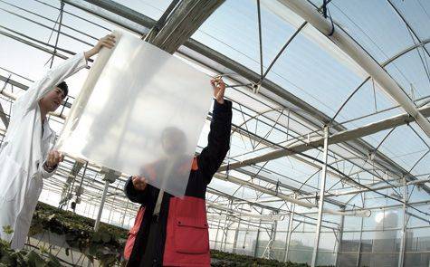 bioplasticos_tcm13-39302|repsolplastico|plasticos-inteligentes_tcm13-15446